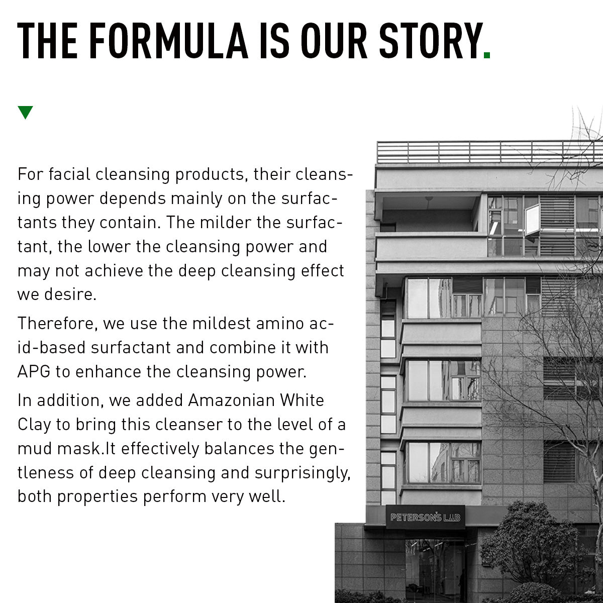 AMINO ACID GENTLE CLEANSER with Amazonian Clay