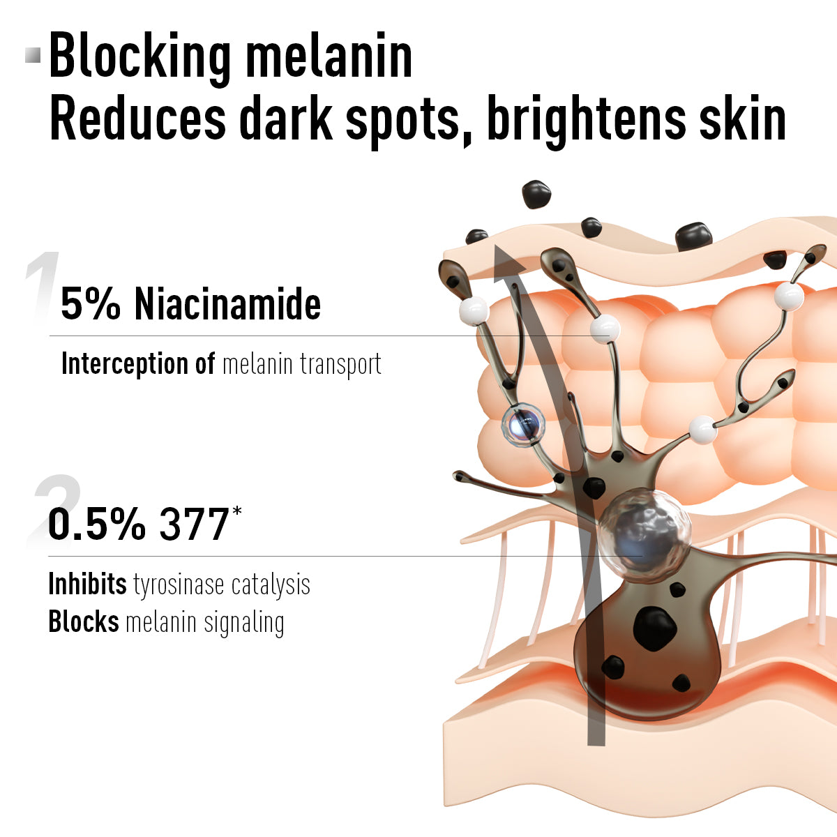 真空密封亮白精华液